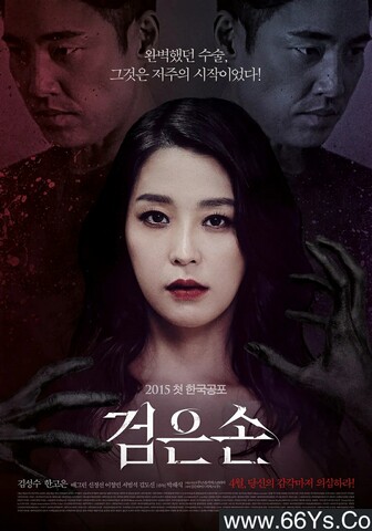 2015年韩国金圣洙 、韩高恩恐怖剧情片《黑手》1080P韩语中字