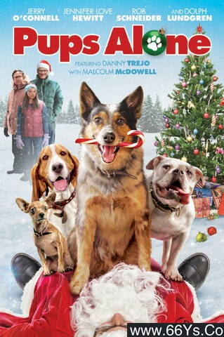 2021年美国儿童喜剧片《灵犬当家：圣诞节的危险》1080p英语中英双字