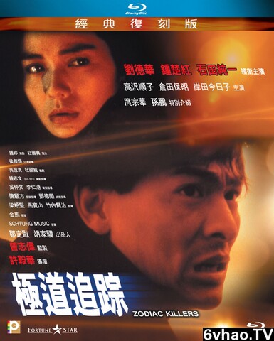 1991年刘德华,钟楚红爱情剧情片《极道追踪》1080P国粤双语