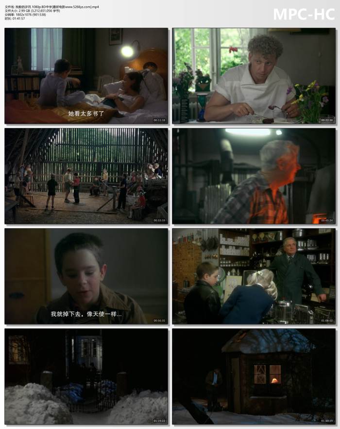 1985年瑞典8.5分喜剧片《狗脸的岁月》1080P中字