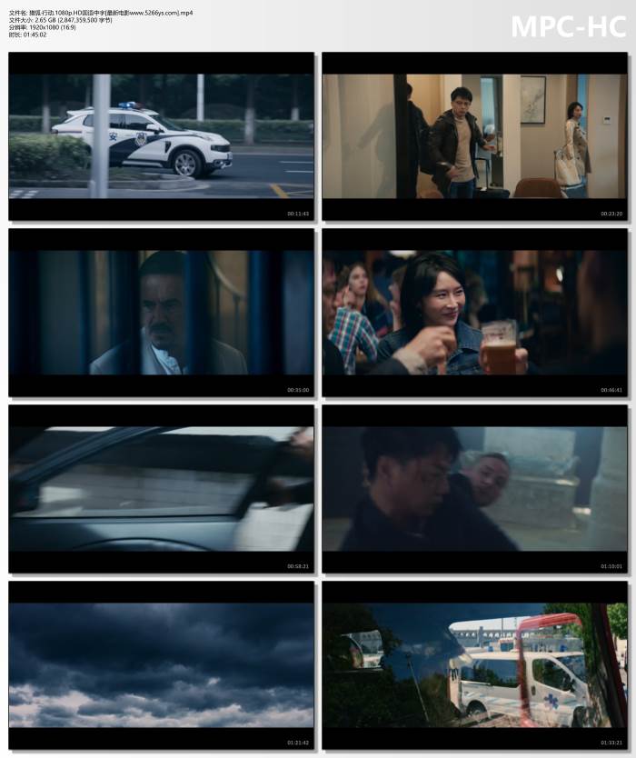 2025年段奕宏,梁朝伟动作剧情片《猎狐行动》1080P国语中字